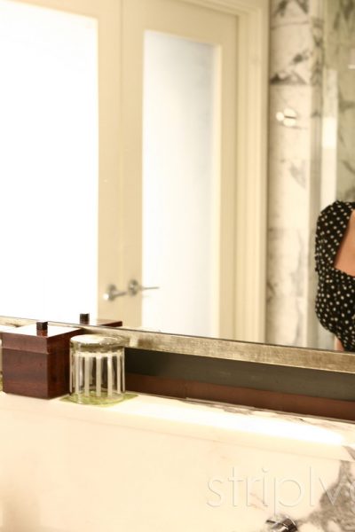 Ashley Roberts StripLVGirls