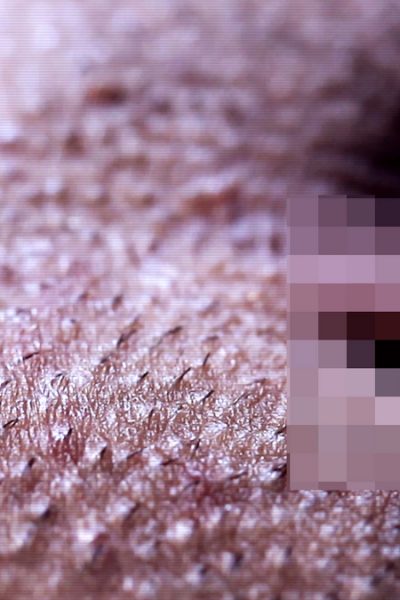 Bailey Knox Hypnotchi Orgasm