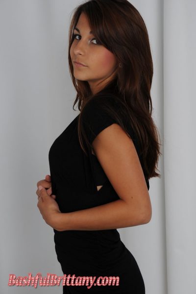 Bashful Brittany