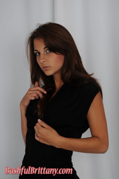 Bashful Brittany