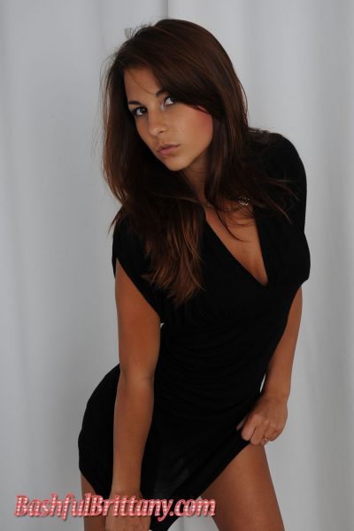 Bashful Brittany