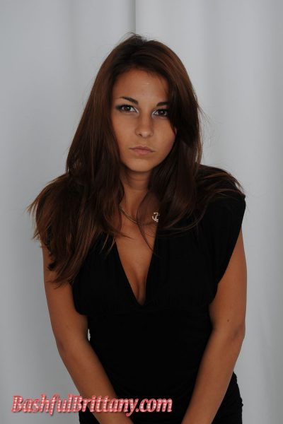 Bashful Brittany