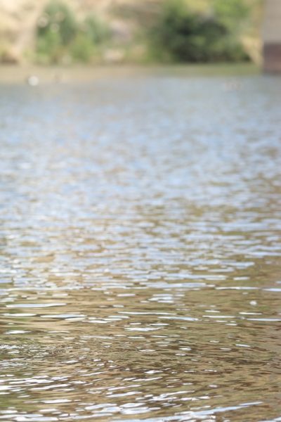Brandi Swimsuit Heaven