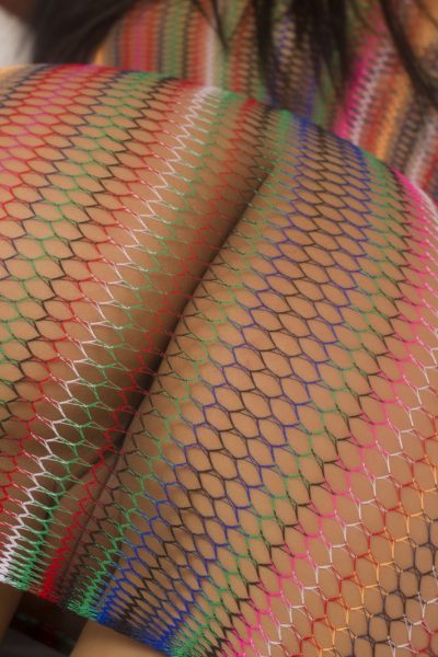 Briana Lee Extreme Mesh Dress