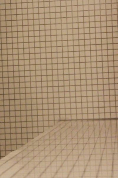 Brooke Marks Shower Head Zipset