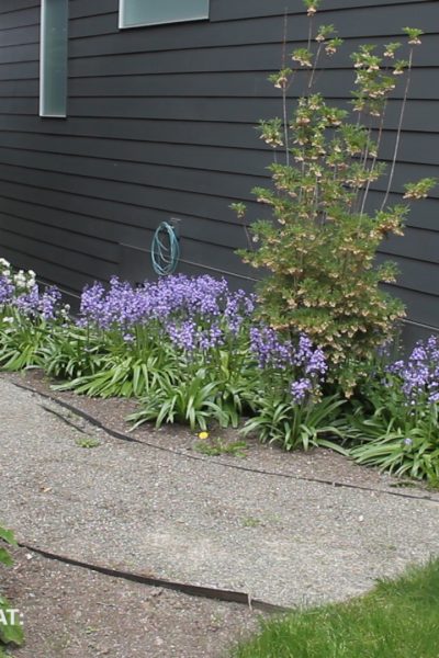 Brooke Marks World Cup Shower