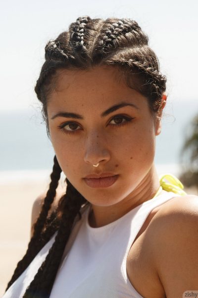 Carol Jasabe The Brazilliant Zishy