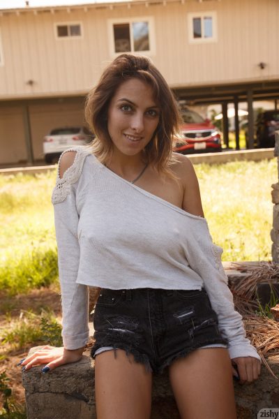 Comet Nox Loves Special Sauce Zishy