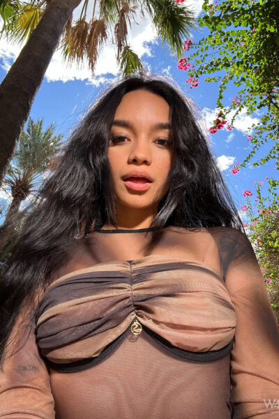 Dulce Selfie 4U Sweet Under The Palm Trees Watch4Beauty