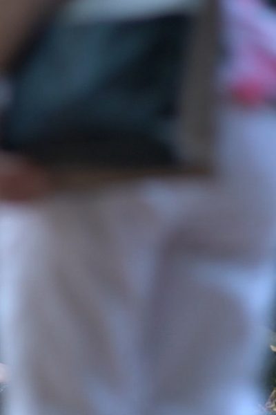 Full Steam Ahead Michels World Video