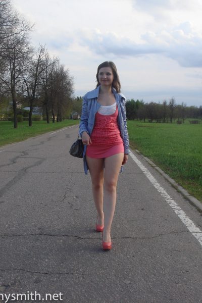 Jeny Smith Roadside Flasher