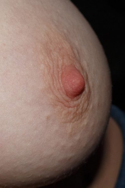 Lida Nowak All Snow Melts Zishy