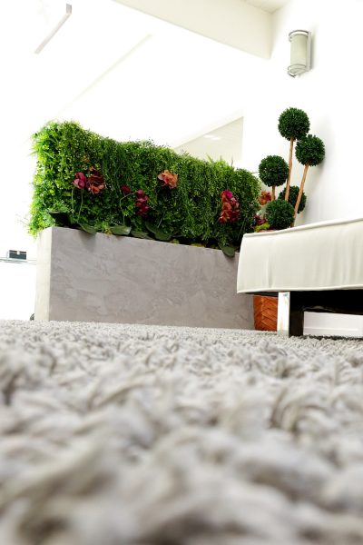 Nia Latina With Ass For Days Net Video Girls