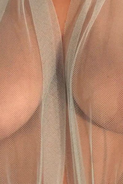 Nikki Sims Totally Sheer Nipples