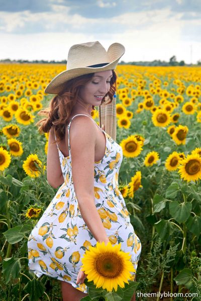 Red Fox Sunflower Fields The Emily Bloom