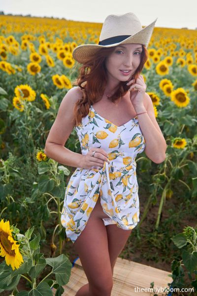 Red Fox Sunflower Fields The Emily Bloom