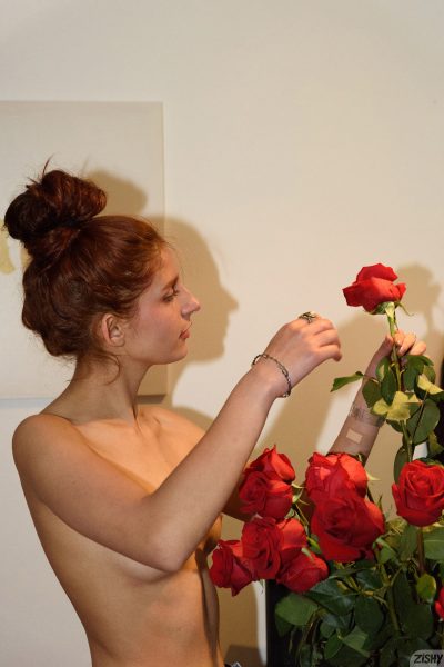 Rosa Calderon Rosas De Bogata Zishy