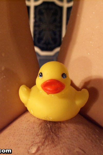 Sexy Pattycake Ducks And Daisies