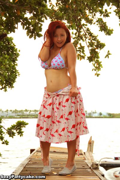 Sexy Pattycake flamingos