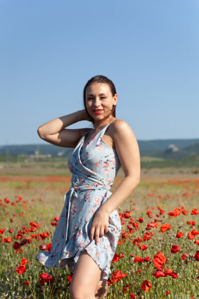 Sumiko Poppy Field Met Art